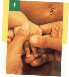33 (6) Punggung tangan Letakan tangan bayi di antara kedua