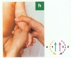 (7) Peras dan putar pergelangan tangan (wrist circle) Peraslah