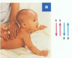 38 f. Punggung (1) Gerakan maju mundur (kursi goyang) Tengkurapkan bayi melintang didepan anda dengan kepala di sebelah kiri dan