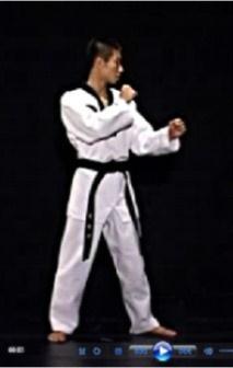Ap Chagi (Sumber: Taekwondo Revolution Kicking, 2011) b) Dollyo Chagi (Tendangan Serong/Memutar)