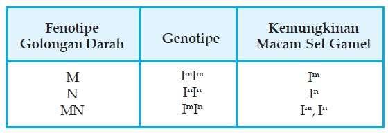2) Sistem M, N, MN Pada tahun 1976, Landsteiner dan Lavene mengemukakan adanya golongan M, MN, dan N, yang masing-masing disebabkan oleh adanya antigen M, MN, atau N.