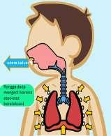 masuk ke paru-paru Otot antar tulang rusuk relaksasi Tulang rusuk menurun Rongga dada mengecil Paru-paru mengempis Tekanan udara dalam