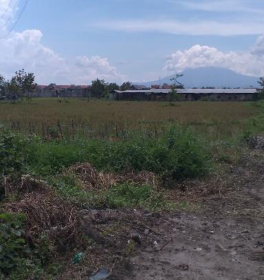 Lokasi Lahan Batasan tapak pada site: SITE Utara : Kota Surakarta Selatan