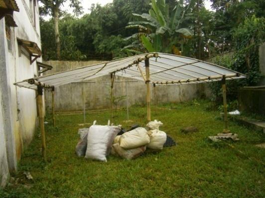19 HASIL DAN PEMBAHASAN Kondisi Umum Penyemaian tanaman dilakukan di bawah rumah plastik di daerah Babakan, Darmaga.