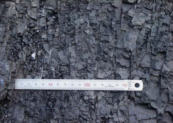 Foto V.2 Kenampakan cleat pada batubara di lokasi 2 (Lapisan Curam) Foto V.