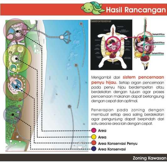 Gambar 6.1 Hasil Rancangan Zoning Kawasan 6.2.2 Tata Massa Pola tatanan massa Pusat Konservasi Penyu Hijau di Pulau Derawan mengambil dari susunan organ pencernaan penyu hijau.