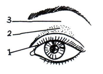 f. Eye liner, berbentuk cairan, cream atau pensil. Dipakai dengan cara mengoleskan dengan menggunakan kuas yang lembut. Mata yang diberi eye liner menjadi kelihatan lebih hidup.