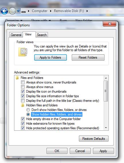 Setelah muncul menu bar, Klik Tab View - Klik Show hidden files, folders, and drivers - Klik OK Sekarang anda bisa melihat di flashdisk anda, file dan folder yang terhapus/hilang mungkin sudah muncul