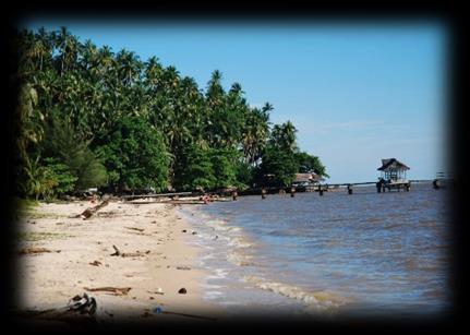 Di sepanjang pantai wisata Pantai Kijing, mulai dari arah Selatan hingga ke Utara yang terlihat hanya hamparan pasir putih dan rindangnya pohon kelapa sebagai tempat berteduh.