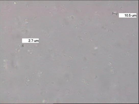 A2B3 (2.2-11.7 µm) A3B1 (2.7-10.5 µm) A3B2 (2.2-7.