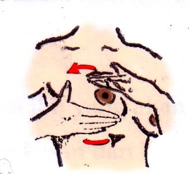 Gambar 2.3 Pengurutan dari pangkal payudara Cara yang lain dapat dilakukan dengan kedua tangan ke arah puting susu. Kedua ibu jari di atas payudara dan jari-jari yang lain menopang payudara.
