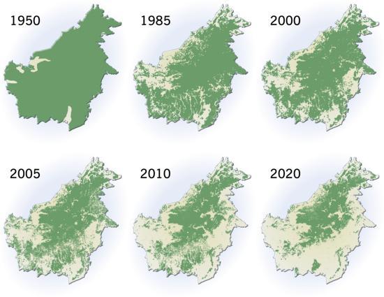 Seperti yang ditunjukkan pada gambar 1.1 di Kalimantan, dalam kurun waktu 22 tahun antara tahun 1985 hingga 2001 telah kelingan kurang lebih 12 juta hektar hutan.
