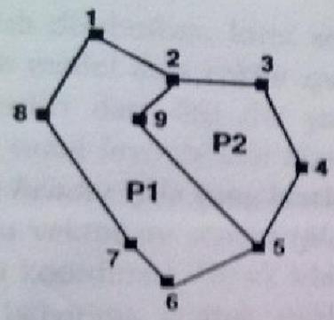Entity Area atau Poligon Poligon mendeskripsikan suatu area (bentuk, hubungan, ketetanggan dan hirarki)