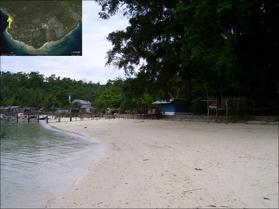 Gambar 7.5 Seawall yang terdapat di Pantai Pasir Ido. Struktur eksisting yang terdapat di Pantai Mansinam yaitu sebuah Dermaga Jetty sepanjang 30 meter.
