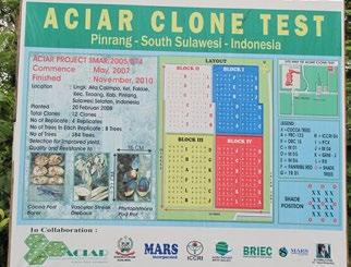 8 Kakao untuk Masa Depan: Program penelitian dan pelatihan inovatif untuk mengubah kehidupan petani kakao di Indonesia dan sekitarnya. kualitas biji kakao buruk, dan pohon kakao mereka berusia tua.