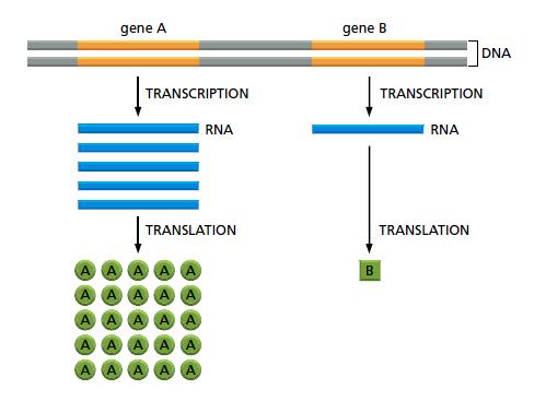 9 Gen berbeda menghasilkan ekspresi berbeda Gambar 4.