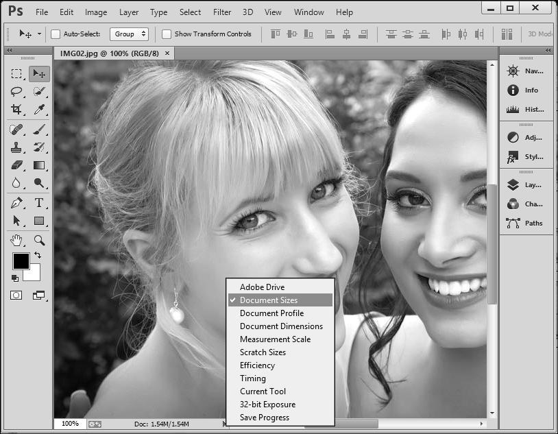 Jika Anda klik dan tahan tombol mouse pada status bar di sebelah kiri bawah layar, Photoshop akan menampilkan informasi yang lebih rinci. Semua informasi ini juga akan ditampilkan dalam palet Info.