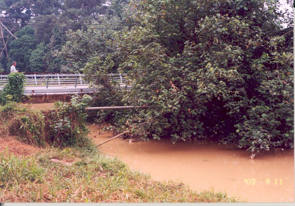 Foto 4 Pokok Yang Tidak Dipotong Di Tebing Sungai Merbudu Sumber : Fail Foto Jabatan Audit Negara Lokasi : Sungai Merbudu, Muar Tarikh : 11 September 2003 iv) Kerja Pembersihan Dan Penggalian 3
