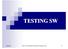 TESTING SW SE6161 Perancangan dan Analisis Perangkat Lunak 1