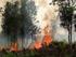 Mendeteksi Kebakaran Hutan Di Indonesia dari Format Data Raster
