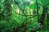 BAB I PENDAHULUAN. Sebagian hutan tropis terbesar di dunia terdapat di Indonesia. Berdasarkan