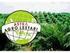 I. PENDAHULUAN. Industri pertanian seperti PT.GGP (Green Giant Pinaeple) Lampung. menggunakan nanas sebagai komoditas utama dalam produksi.
