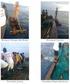 Kajian ukuran utama perahu katir (pumpboat) pada perikanan tuna hand line di Kota Bitung, Provinsi Sulawesi Utara
