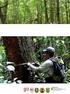 Penduga Model Hubungan Tinggi dan Diameter Pohon Jenis Jambu-Jambu (Kjellbergiodendron sp.) pada Hutan Alam di Kab Mamuju Sulawesi Barat