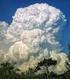 BAB IV AWAN. Strato Cumulus (low) Stratus IV. Golongan awan yang membubung keatas. Jenis awan yang membubung keatas