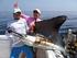 Identifikasi Ikan Berparuh (Billfish) di Samudera Hindia Perikanan Pelagis. Direktorat Jenderal Perikanan Tangkap Kementerian Kelautan dan Perikanan