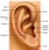 BAB 2 TINJAUAN KEPUSTAKAAN. Telinga tengah terdiri dari membran timpani, kavum timpani, tuba Eustachius