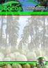 PENGEMBANGAN BISKUIT KENARI (Canarium indicum L) BERBAHAN BAKU TEPUNG SAGU BARUK (Arenga microcarpa)