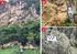 Sedimentologi Batugamping Formasi Berai di Gunung Talikur dan Sekitarnya, Kabupaten Tapin, Kalimantan Selatan Berdasarkan Data Petrografi