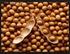 I. PENDAHULUAN. Kedelai (Glycine max [L] Merr.) adalah salah satu komoditas utama kacangkacangan