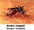Perilaku Bertelur Nyamuk Aedes aegypti pada Media Air Tercemar
