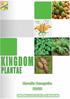 Bab 7: Kingdom Plantae Dunia Tumbuhan 1