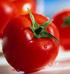 Tabel 1. Kandungan gizi buah tomat segar (matang) tiap 180 gram bahan. Kebutuhan per hari (%)