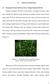 TINJAUAN PUSTAKA Kemangi (Ocimum basilicum Linn.) sebagai Tanaman Herbal. Tanaman Kemangi ( Ocimum basilicumlinn.) merupakan