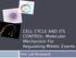 CELL CYCLE AND ITS CONTROL: Molecular Mechanism For Regulating Mitotic Events. Oleh: Laili Munawarah