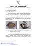 Bab 4. Gambar 4.1. Siput gonggong (Strombus turturella) yang ditemukan pada lokasi penelitian di utara Pulau Lingga