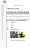 Gambar 1. Brokoli (Brassica oleracea L. var. italic)