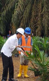 Kita memang ingin kerja fokus supaya gampang dicek, gampang dikontrol, kata Presiden. Presiden menargetkan agar kebun kelapa sawit rakyat juga dapat memproduksi hingga 8 ton /hektar/ tahun.