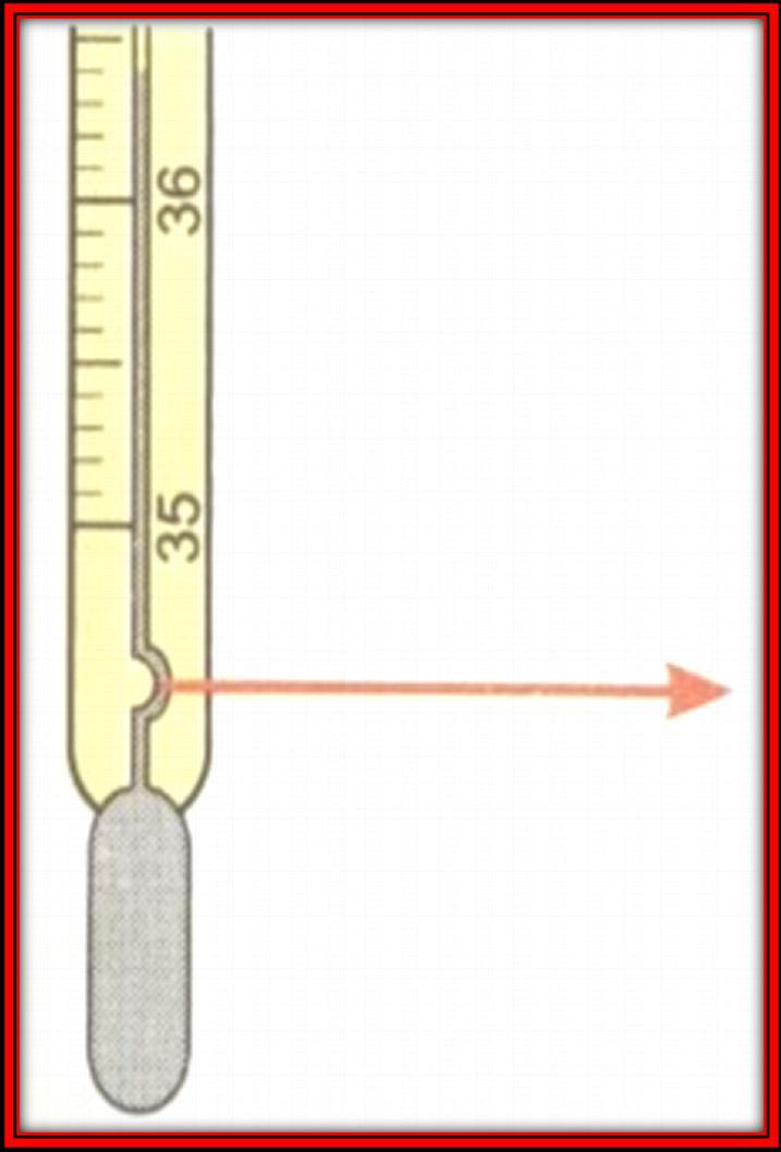 Kegunaan utama termometer rektal