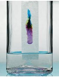 Air, dari teknik yang dilakukan murni dilakukan laboratorium tepat kimia. pemisahan diantara dan dapat campuran pemisahan alkohol adalah berikut di alkohol Metode Pemisahan