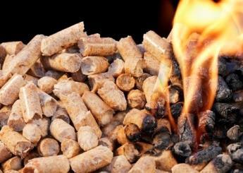 Biomassa INDUSTRI SILVIKULTUR Jenis yang ditanam (kadar kalori setara batu bara) Panen