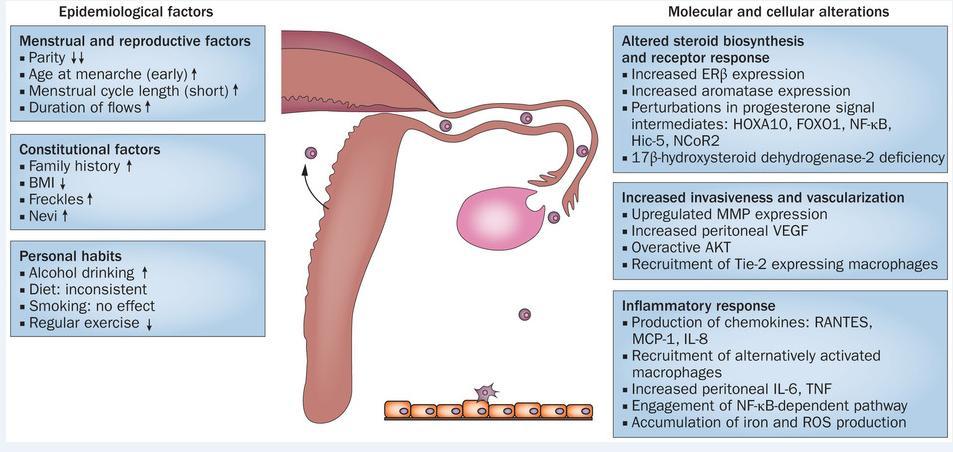 endometriosis.marker diagnosis endometriosis juga dapat diambil dari ekspresi gen dengan metode hibridisasi. 15,16 Beberapa penelitian dipusatkan pada IL-8 dan monocyte chemotactic protein-1 (MCP-1).