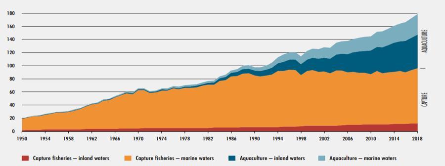 Berdasarkan gambar tersebut memberikan informasi bahwa perikanan tangkap dunia mengalami titik jenuh sejak tahun 1986 sehingga pertumbuhannya stagnan. Gambar 2.