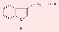 2.3 Macam-Macam Hormon Auksin Pata ahli sering menyamakan hormon asam indol asetat (IAA) dengan auksin.