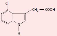 Asam 4-kloroindoasetat (4-Kloro IAA) Senyawa ini banyak ditemukan pada biji Leguminosae yang masih muda. b. Asam fenil asetat (PAA) Senyawa ini dapat dijumpai pada hampir seluruh jenis tumbuhan.