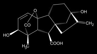 2 Pengertian Hormon Giberelin Giberelin (asam Gibellate/ GA) merupakan senyawa yang tergolong kedalam diterpenoid tetrasiklik yang memiliki rangka ent-gibberalene yang disebut ent-kaurene.